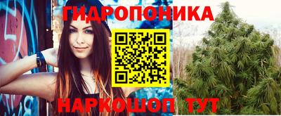 дмт Волжск