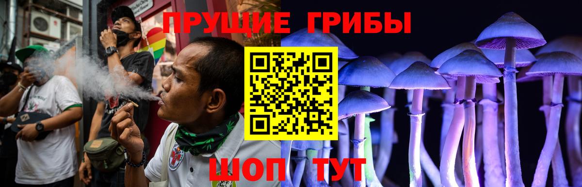 Галлюциногенные грибы GOLDEN TEACHER Миллерово